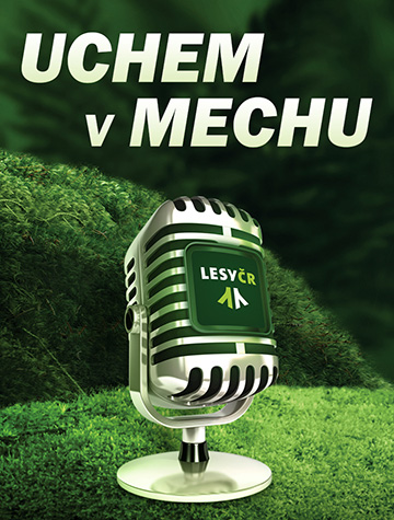 LČR - podcasty Uchem v mechu