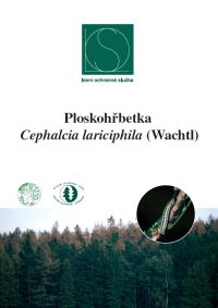 ploskohrbetka