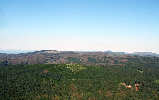 sumava_polednik_maly